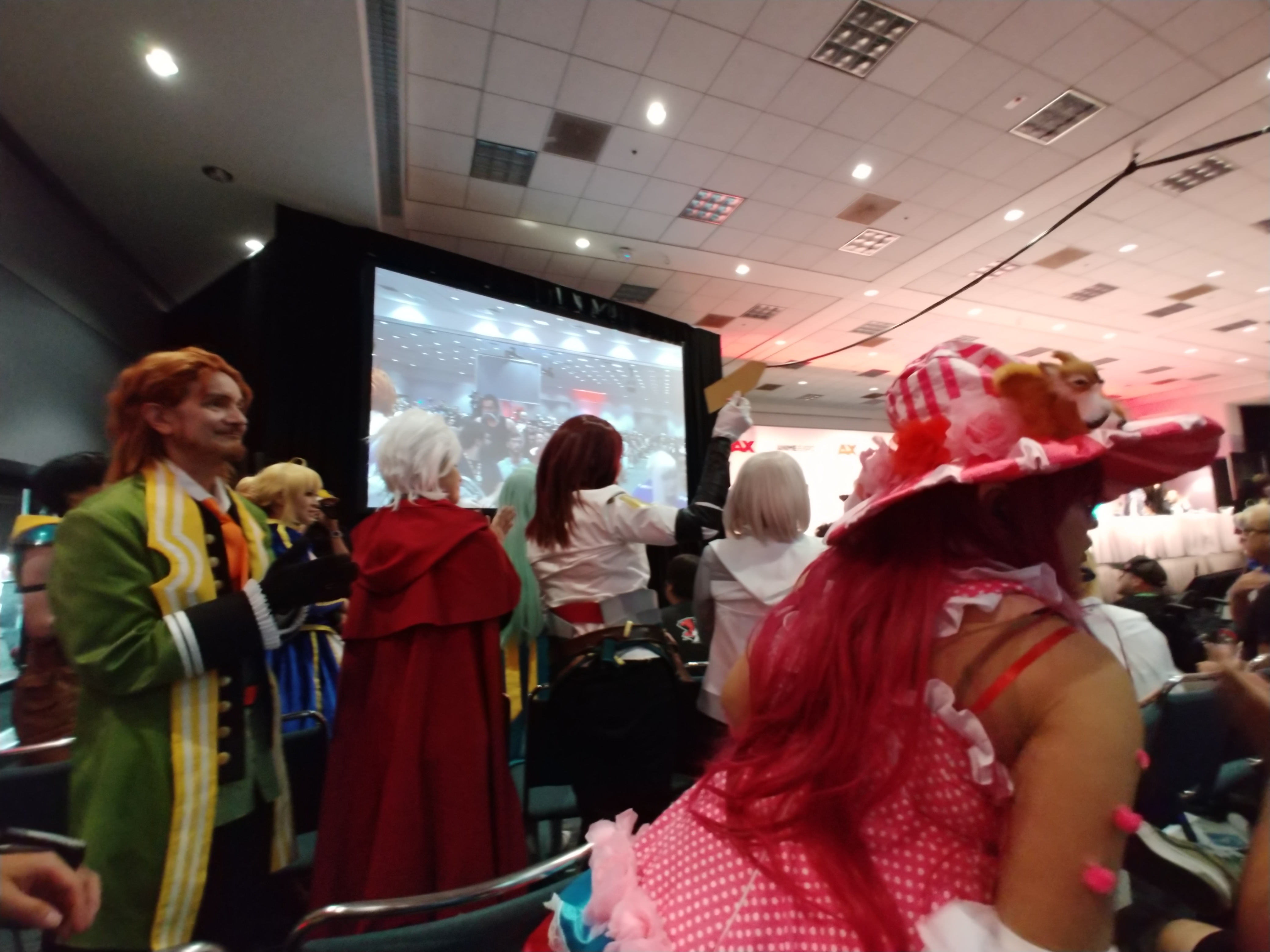 Audience Cosplay Cheering