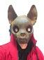Profile picture for user KaylinEvergreen